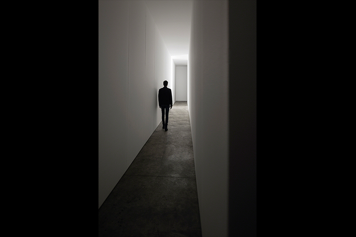 Carsten Höller - Doubt - Mostra BicoccaHangar 2016